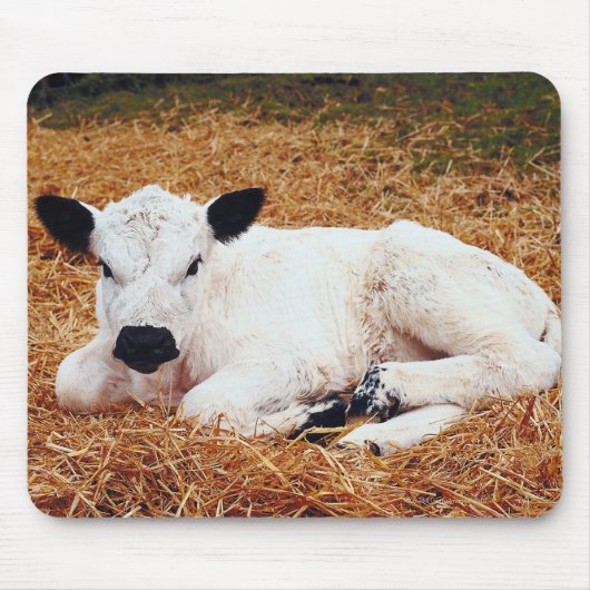 Baby Cow, Calf Mousepad (Vorne)