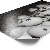 Baby Crocodiles Fotodruck (Ecke)