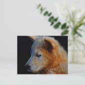 Baby CUB Postkarte (Stehend Vorderseite)