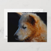Baby CUB Postkarte (Vorne/Hinten)
