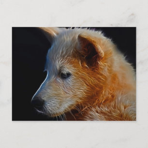 Baby CUB Postkarte