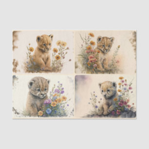 Baby Cubs Seidenpapier