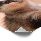 Baby-Dachs-Kinderzimmer-Wandbild Poster (Ecke)