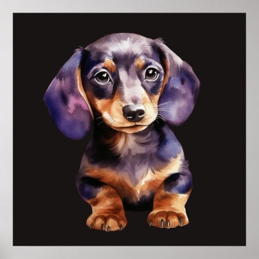 Baby Dachshund Poster (Vorne)
