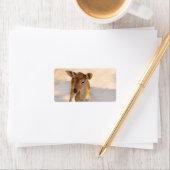Baby Deer Adressaufkleber (Insitu)