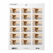 Baby Deer Adressaufkleber (Vorne)