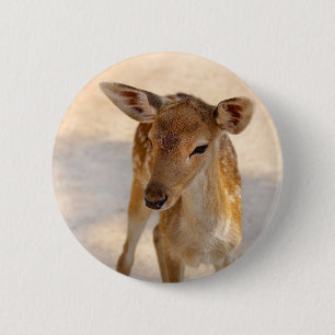 Baby Deer Button