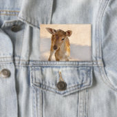 Baby Deer Button (Insitu)
