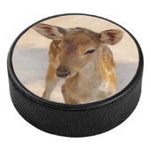 Baby Deer Eishockey Puck (3/4)