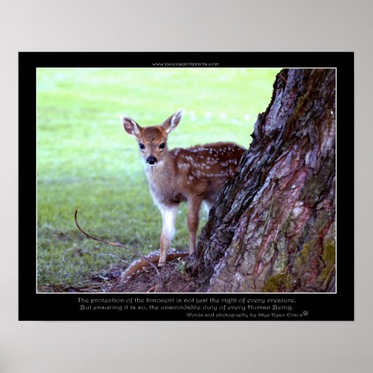 Baby Deer Fawn Foto & Poem Poster (Vorne)