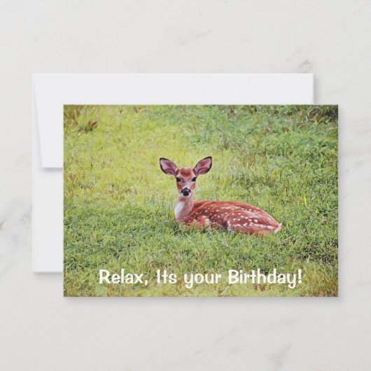 Baby Deer Fawn Relaxen Flat Birthday Card Einladung (Vorderseite)