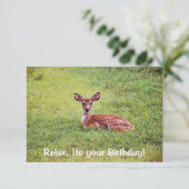 Baby Deer Fawn Relaxen Flat Birthday Card Einladung (Stehend Vorderseite)