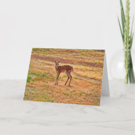 Baby Deer Fawn Wild Animal Art Note Card Karte