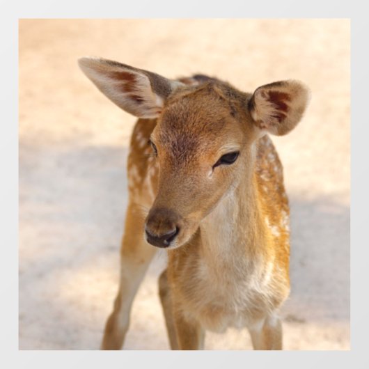 Baby Deer Fensteraufkleber (Blatt)