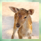 Baby Deer Fensteraufkleber (Blatt 3)