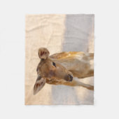 Baby Deer Fleecedecke (Vorderseite)