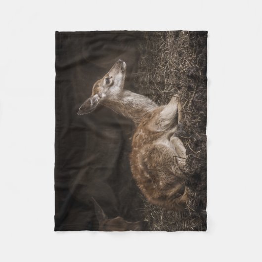 Baby Deer Fleecedecke (Vorderseite)