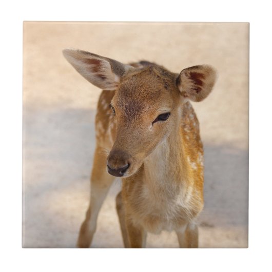 Baby Deer Fliese (Vorderseite)
