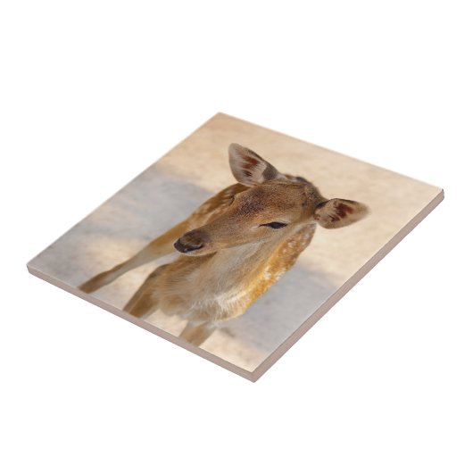 Baby Deer Fliese (Seite)