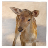Baby Deer Fliese (Vorderseite)