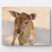 Baby Deer Fotoplatte (Vorderseite)