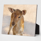 Baby Deer Fotoplatte (Seite)