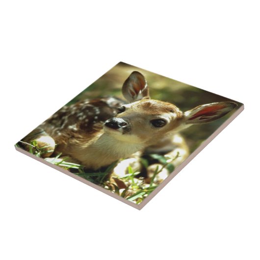 Baby Deer Geschenke Fliese (Seite)