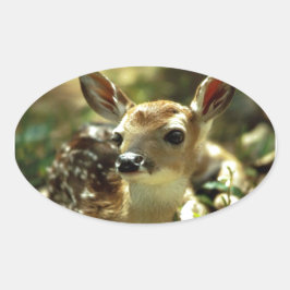 Baby Deer Geschenke Ovaler Aufkleber