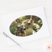 Baby Deer Geschenke Ovaler Aufkleber (Umschlag)