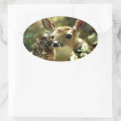 Baby Deer Geschenke Ovaler Aufkleber (Tasche)