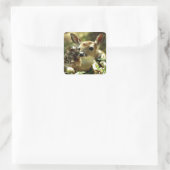 Baby Deer Geschenke Quadratischer Aufkleber (Tasche)
