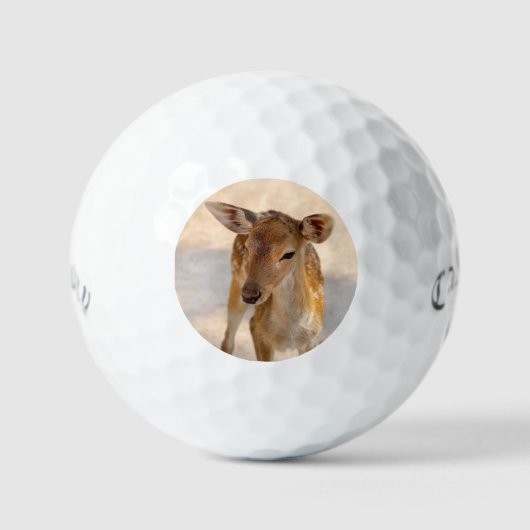 Baby Deer Golfball (Vorderseite)