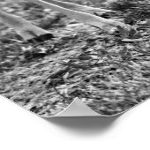 Baby Deer Grazing Fotografien Print Poster (Ecke)