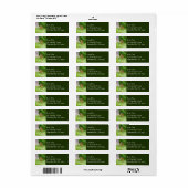 Baby Deer in the Woods Nature Fotografy (Vorne)