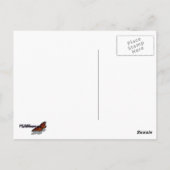 Baby Deer in the Woods Nature Fotografy Postkarte (Rückseite)