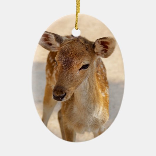 Baby Deer Keramik Ornament (Vorne)