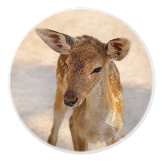 Baby Deer Keramikknauf (Vorderseite)