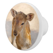 Baby Deer Keramikknauf (Rechts)