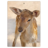 Baby Deer Klemmbrett (Rückseite)