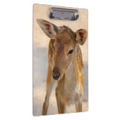 Baby Deer Klemmbrett (Rechts)
