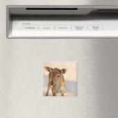 Baby Deer Magnet (In Situ (Geschirrspüler))
