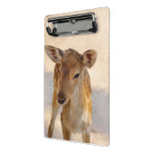 Baby Deer Mini Klemmbrett (Gewinkelt2)