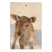 Baby Deer Mini Klemmbrett (Rückseite)