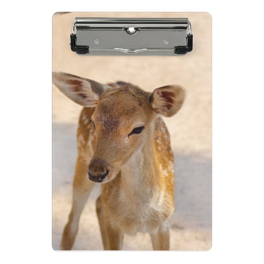 Baby Deer Mini Klemmbrett (Vorderseite)