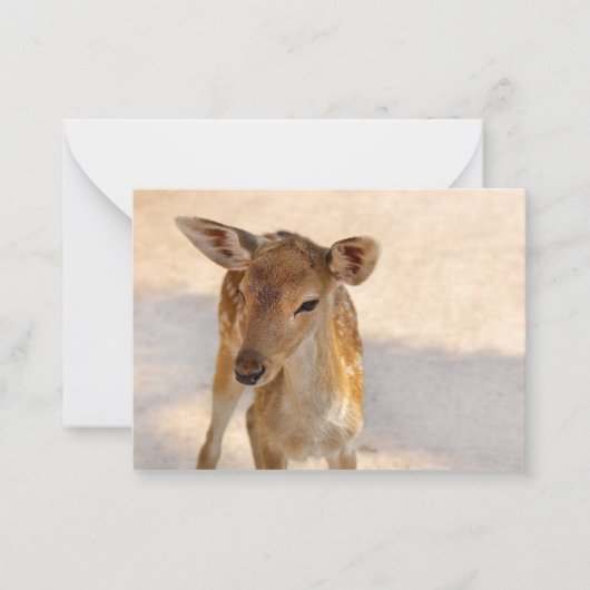 Baby Deer Mitteilungskarte (Vorderseite)