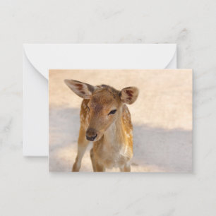 Baby Deer Mitteilungskarte