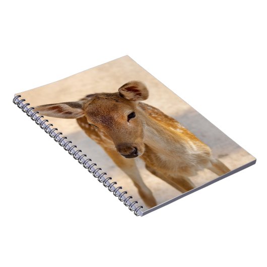 Baby Deer Notizblock (Rechte Seite)