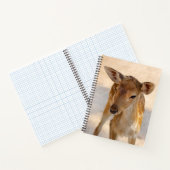 Baby Deer Notizblock (Innenseite)