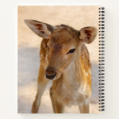 Baby Deer Notizblock (Rückseite)
