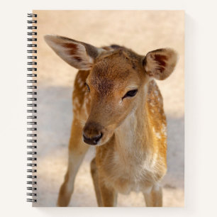 Baby Deer Notizblock